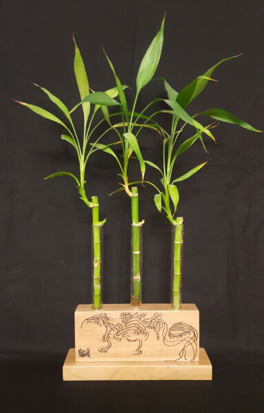 Soporte de madera rectangular con tres agujeros que contienen un tubo de cristal cada uno con una planta tipo bambú